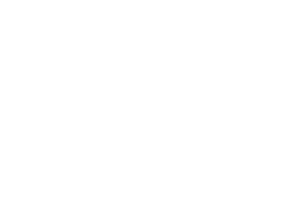 Steenks schilderwerken