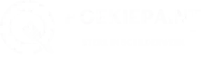 HoekiePaint