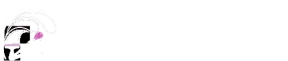 Beste Kwaliteit Schilderwerken