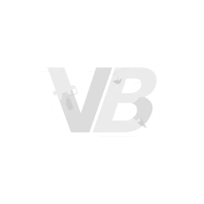 van Beem Dienstverlening