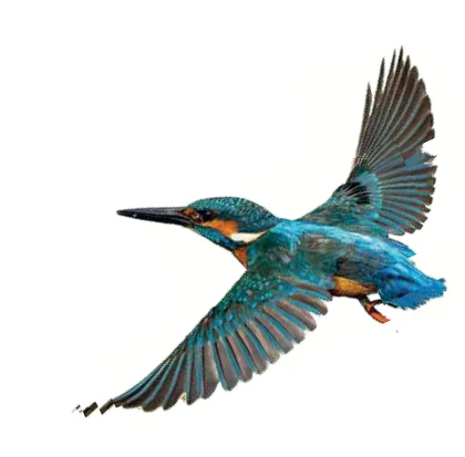 K. van Beek Schilderwerken