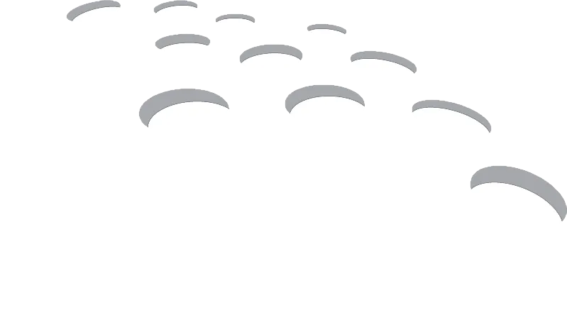 Vido Schilderwerken B.V.