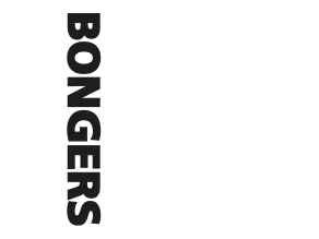 Bongers Schilders